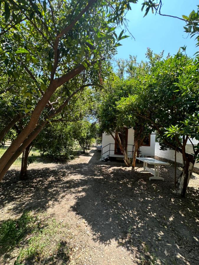 Incekum Bodrum