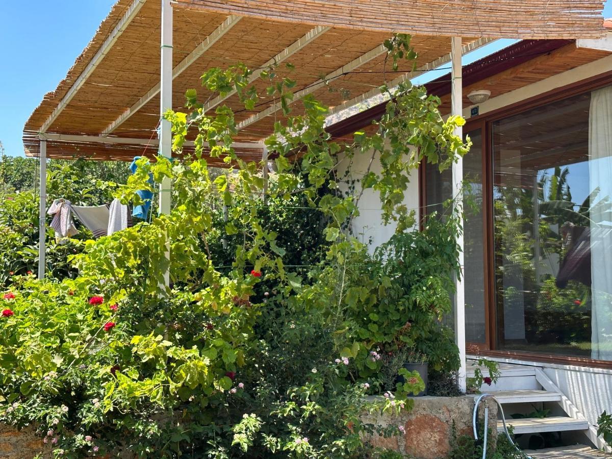 Incekum * Bodrum